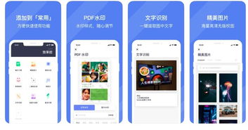 房产达人电脑版：助力您在房产市场中脱颖而出的最佳工具和解决方案