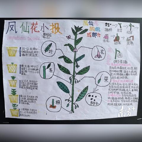 (发现四季之美手抄报)发现四季物语图鉴大全：探索四季的神奇色彩和生命力