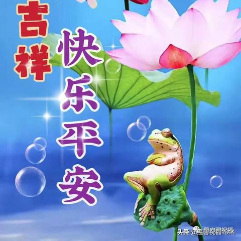 满地红图库资料图片|经典理论与实践的完美结合_延展款.7.253