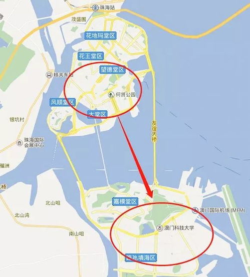 澳门今晚开什么号要一个准确数字|前沿研究解释落实_创意版.4.728