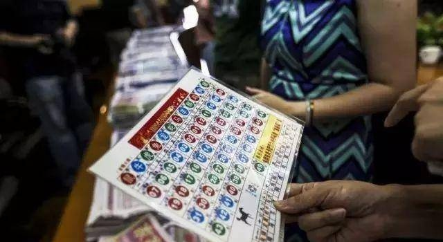 三码中特期期准资料01|绝对经典解释落实_社群款.9.993
