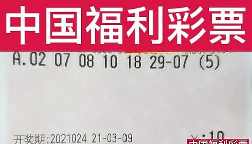 今晚开什么特别号码1|探寻生活中的小确幸_生存版.4.457