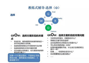 正版免费全年资料大全20|实践分析解释落实_经典款.8.563