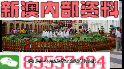 澳门新澳一马中特|动态词语解释落实_特别品.9.999