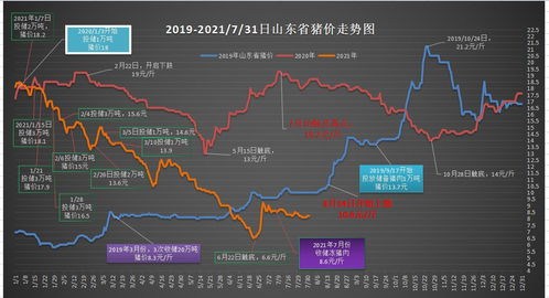 香港二四六开奖期期准|机构预测解释落实方法_WP.9.381